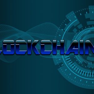 Online Block Chain Training