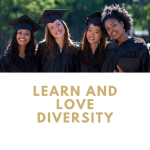 Diversity Equity and Inclusion Programs